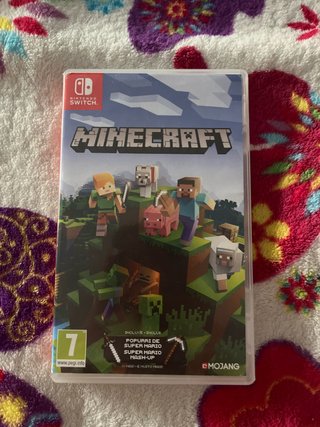Minecraft Nintendo Switch