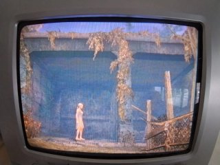 Haunting Ground PS2 (Versión Española)