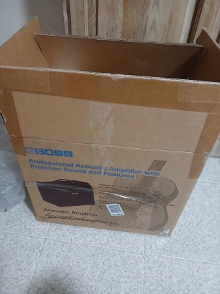 Boss Acoustic Singer Live LT Amplificador