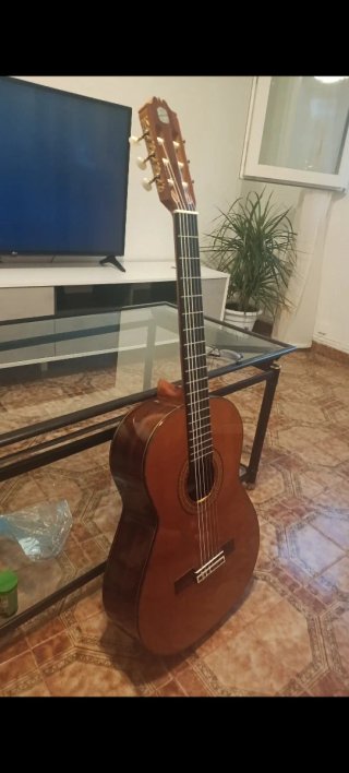 Guitarra Clásica Maciza Admira modelo soledad