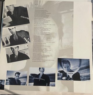 Vinilo LP Sting The Dream of the Blue Turtles