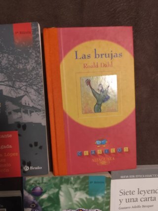Lote de 10 Libros Infantiles, Juveniles y Clásicos