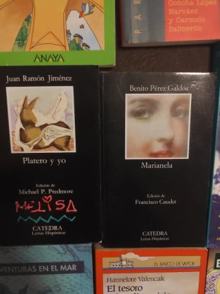 Lote de 10 Libros Infantiles, Juveniles y Clásicos