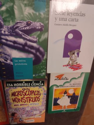 Lote de 10 Libros Infantiles, Juveniles y Clásicos
