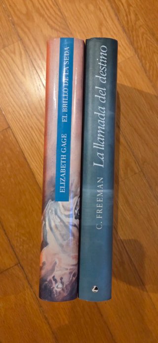 LOTE 2 LIBROS NOVELA ROMÁNTICA