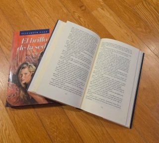 LOTE 2 LIBROS NOVELA ROMÁNTICA