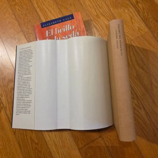 LOTE 2 LIBROS NOVELA ROMÁNTICA