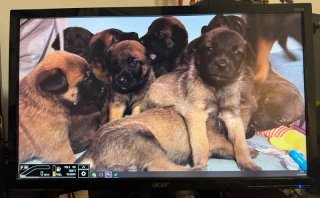 Monitor Gaming Acer 22’