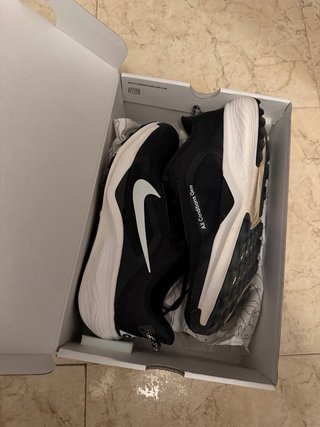 Nike Pegasus Trail ACG 44,5 como nuevas
