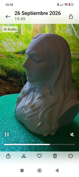 Busto personalizado