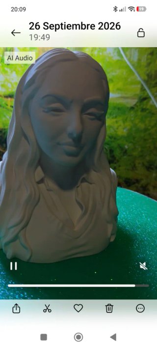 Busto personalizado