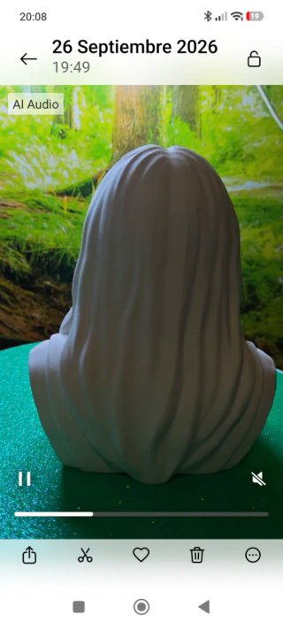 Busto personalizado
