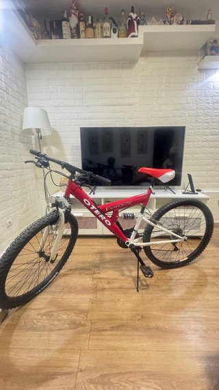 Bicicleta de Montaña Otero Feross