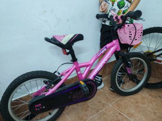 Bicicleta Monty 103 16 Rosa