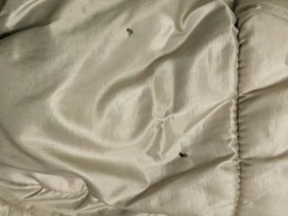 Piumino Terranova Dorato Donna XL