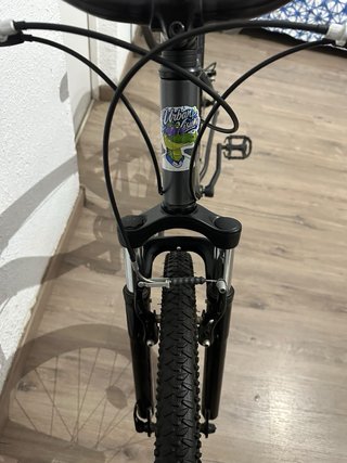 Bicicleta de Montaña