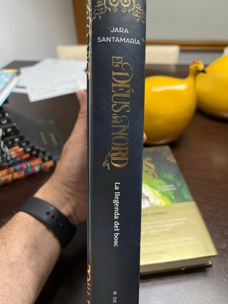 Els déus del nord. La llegenda del bosc sense f...