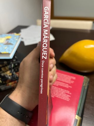 Doce cuentos peregrinos