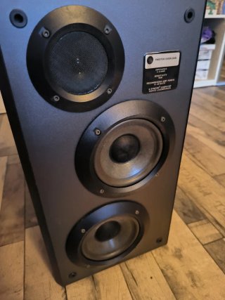 Altavoces Vintage Bose ML3 (Studiocraft 300 ST)