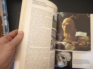 Libro La Nueva Historia de Adán y Eva Günter Haaf
