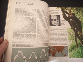 Libro La Nueva Historia de Adán y Eva Günter Haaf