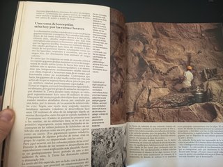 Libro La Nueva Historia de Adán y Eva Günter Haaf
