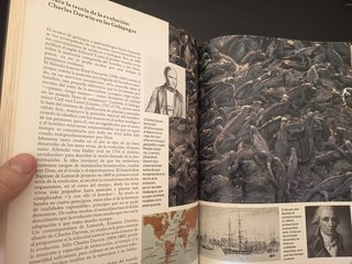 Libro La Nueva Historia de Adán y Eva Günter Haaf