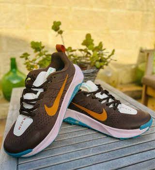 Zapatillas Nike Trail Wildhorse 10