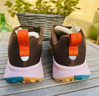 Zapatillas Nike Trail Wildhorse 10