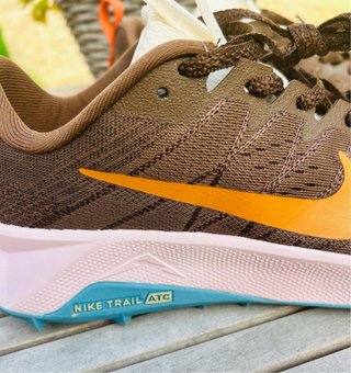Zapatillas Nike Trail Wildhorse 10