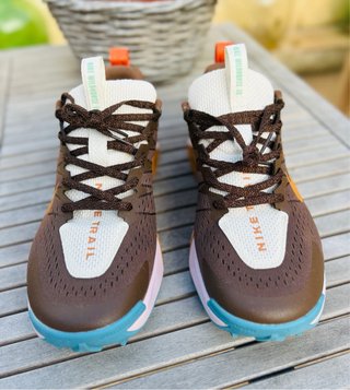Zapatillas Nike Trail Wildhorse 10