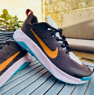 Zapatillas Nike Trail Wildhorse 10