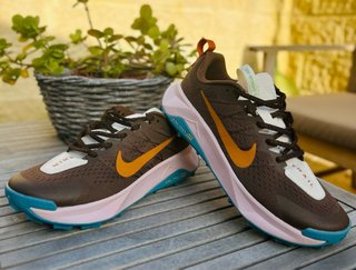 Zapatillas Nike Trail Wildhorse 10