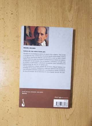 Señora de rojo sobre fondo gris