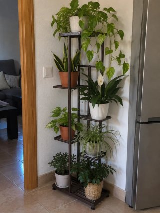 Estante metálico para Plantas