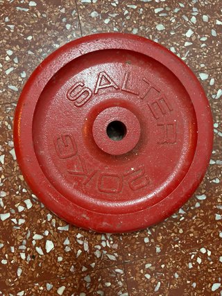 2 Discos Pesas Salter 20Kg
