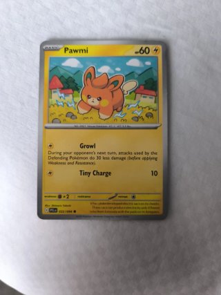 Lote de 24 Cartas Pokémon