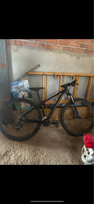Bicicleta Orbea Onna 29