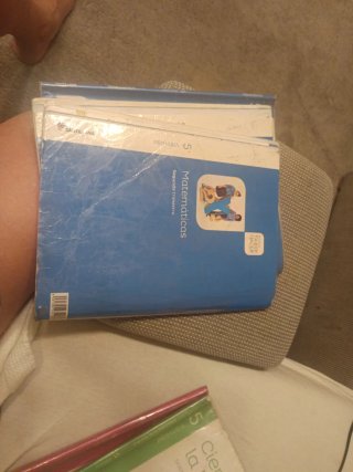 Matemáticas Primaria. Segundo trimestre