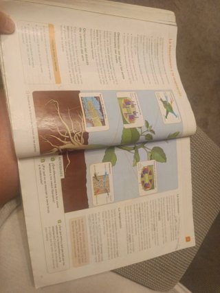 Ciencias de la Naturaleza 5 Serie Investiga Sab...
