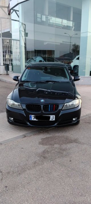 BMW Serie 3 2010