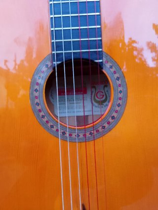 Guitarra de Arce