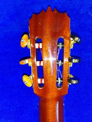 Guitarra de Arce