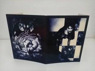 Vampiro Edad Oscura Pantalla del Narrador