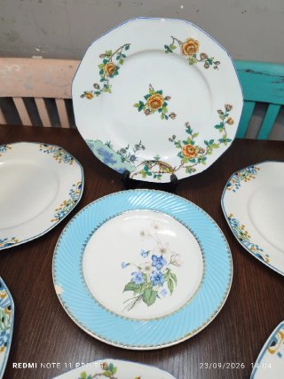 9 Platos Porcelana Francesa Vintage