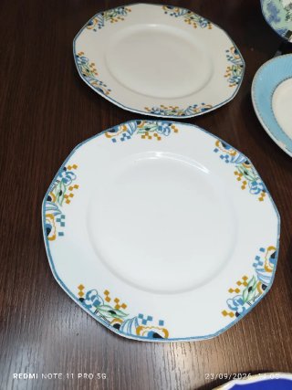 9 Platos Porcelana Francesa Vintage