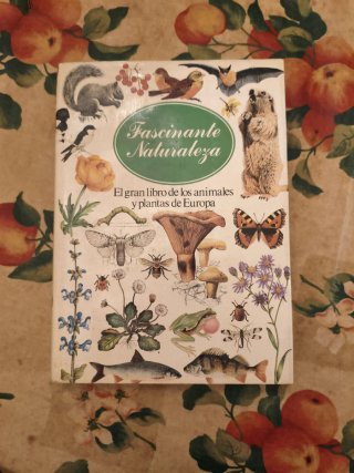 Fascinante naturaleza