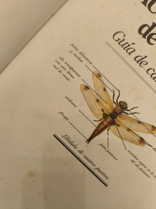 Fascinante naturaleza