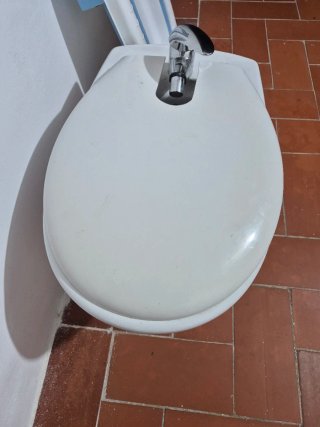 Bidé de cerámica blanco