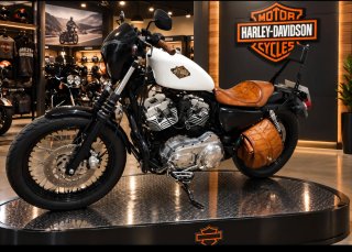 Harley-Davidson 1200 Custom